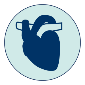 icono cardiovascular2