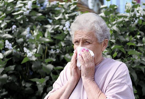 alergias paciente anciano
