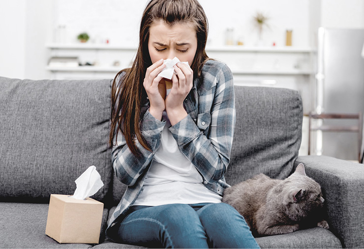 alergias pacientes mascotas