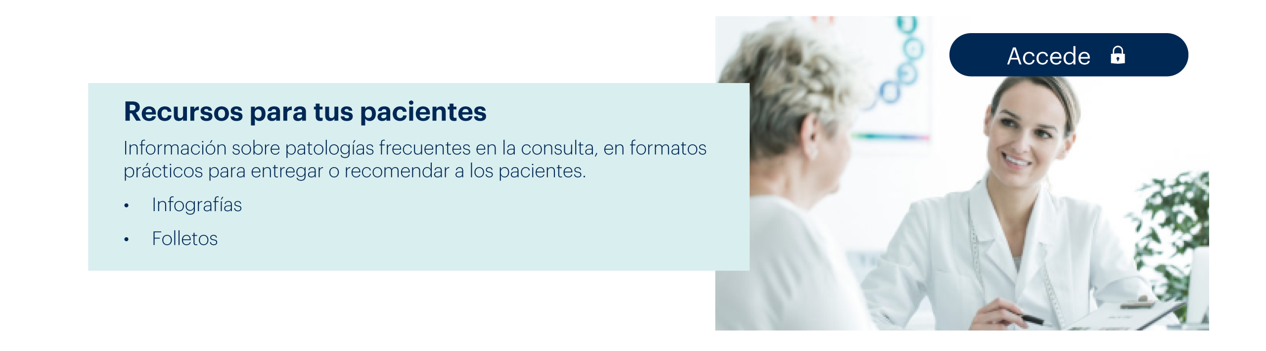Contenido 2