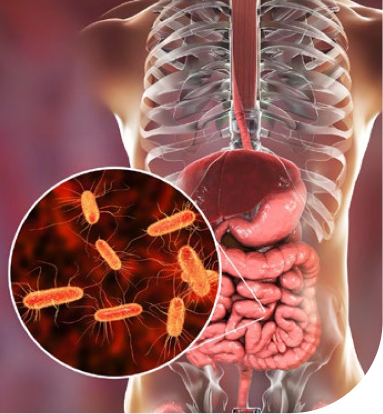 Dermatoday: edición 2, 2026 2 Figura2 Derma Today 2026 ed2